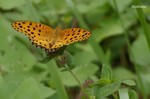 20070729_031.jpg