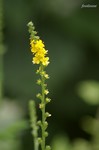 20070729_038.jpg