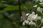 20070729_066.jpg