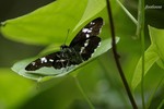 20070729_070.jpg