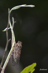 20070729_080.jpg