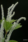 20070729_102.jpg