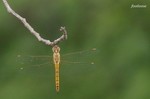 20070729_114.jpg
