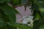 20070729_124.jpg