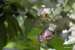 20070729_163.jpg