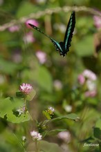 20071028_194.jpg