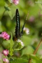 20071028_220.jpg
