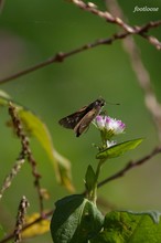 20071028_221.jpg