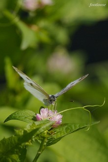 20071028_257.jpg