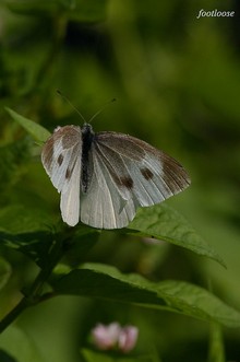20071028_259.jpg