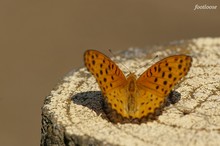 20071028_330.jpg