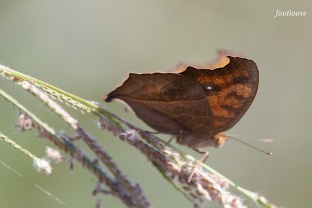 20071028_331.jpg