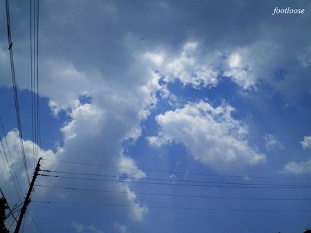 20090531_010.jpg