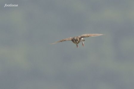 20090614_087.jpg