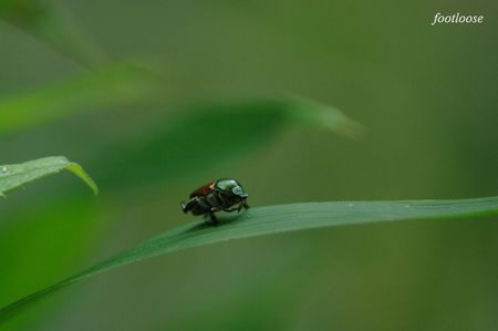 20090802_003.jpg