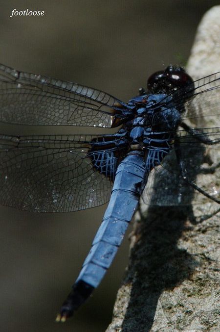 20090802_219.jpg