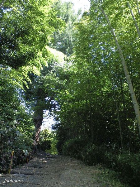 20090825_068.jpg