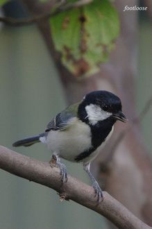 20090918_121.jpg