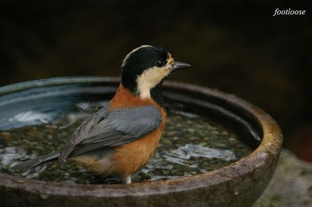 20091006_007.jpg