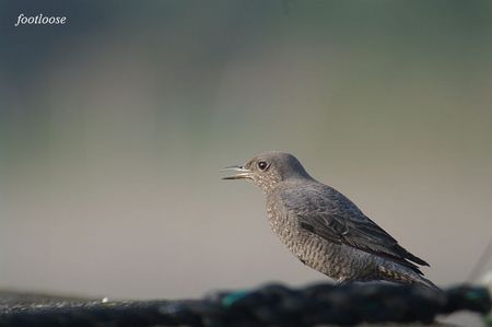 20091128_144.jpg