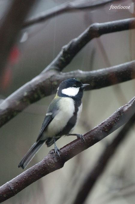 20091210_022.jpg