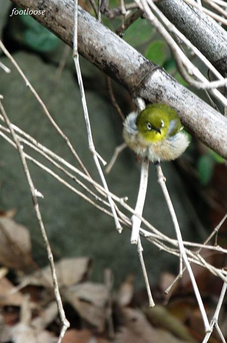 20091224_013.jpg