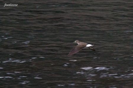20091226_186x.jpg