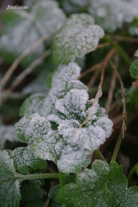 20091227_029.jpg