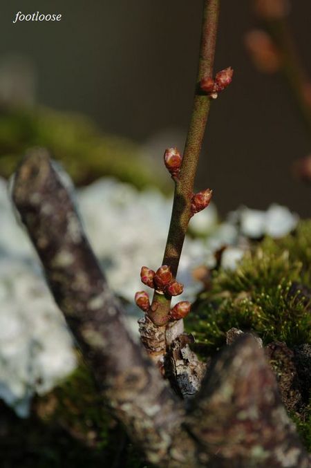 20091228_100.jpg